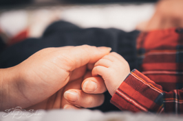Family Family