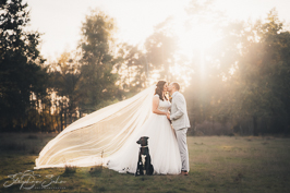 Hochzeit Hochzeit