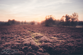 Sonnenuntergang Sonnenuntergang