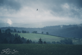 Aussicht Aussicht