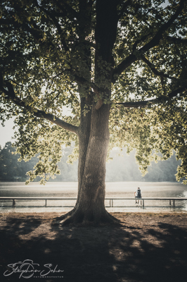 Baum Baum